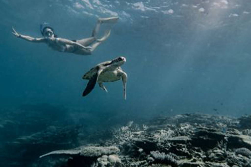 Dive into Paradise: The Best Snorkel Places in Queensland, Australia