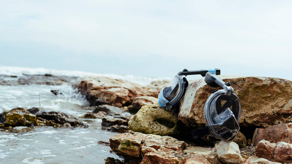 Why You Should Try Snorkelling - Here's 8 Reasons