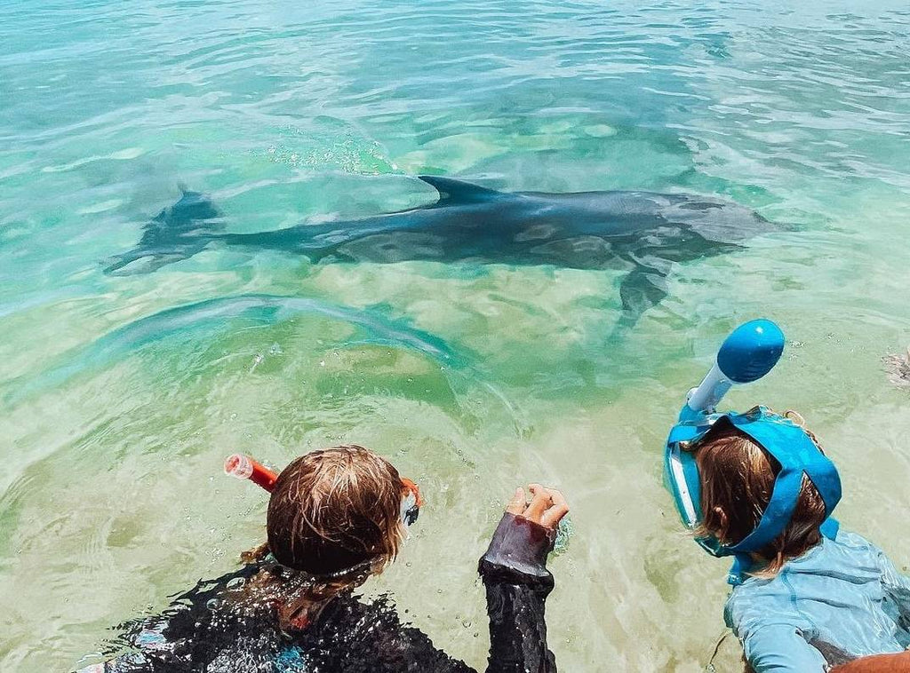 Marine Life You Can Spot While Snorkelling in Autumn