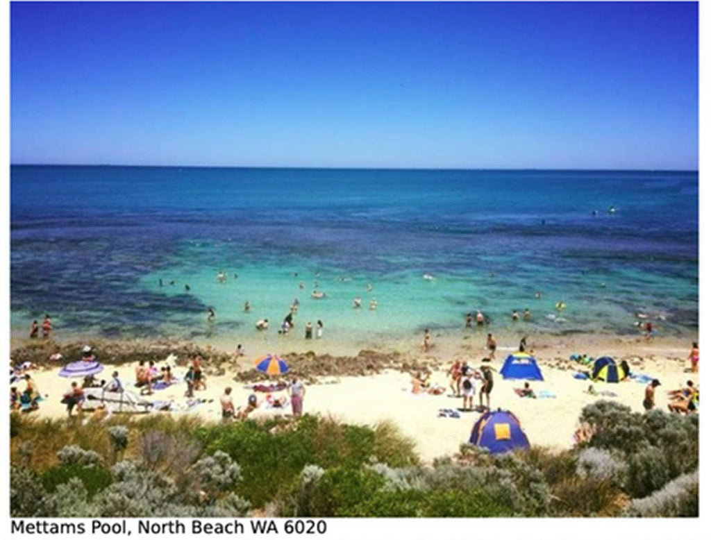 STORY TIME: “This was the best experience we have had with snorkels…”