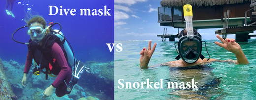 What's the Difference Between a Dive Mask and a Snorkel Mask? A Comparison