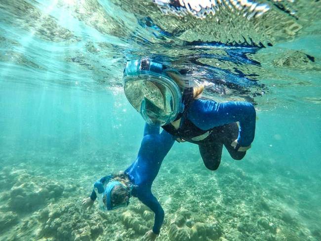 Should You Buy a Full Face Snorkel Mask?