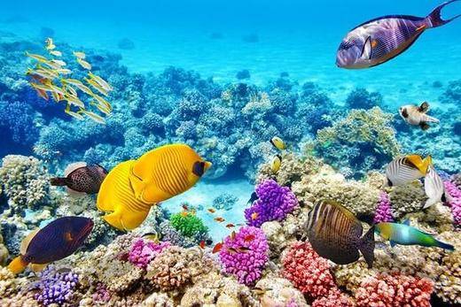 Top 10 Best Spots to Snorkel in Australia