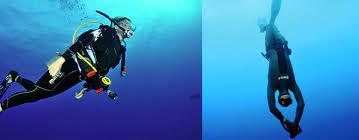 Diving vs Scuba Diving