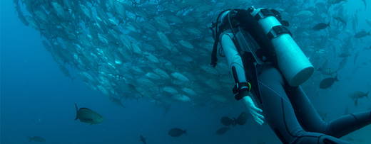 Types of Scuba Diving Certifications