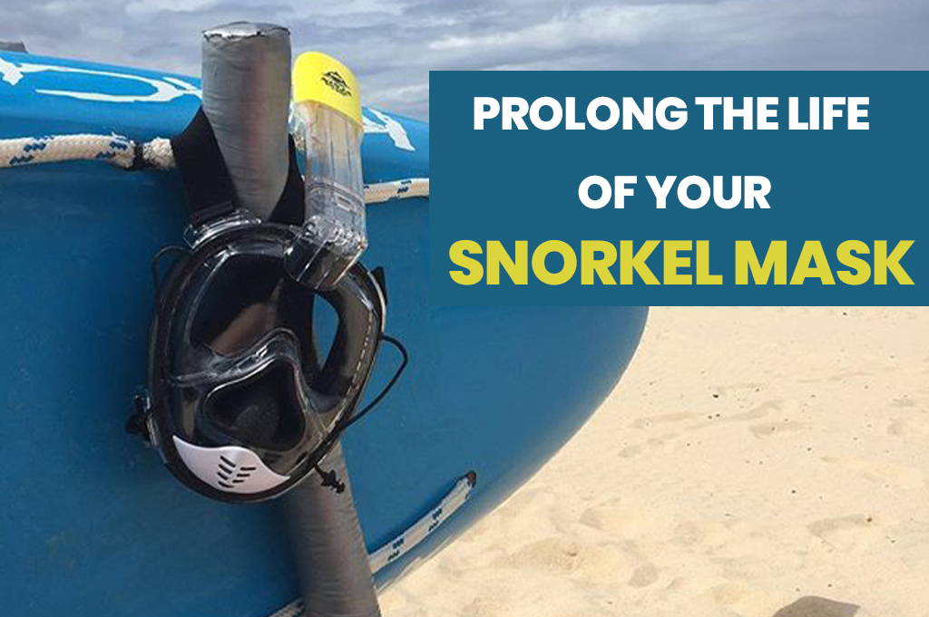 Gear Maintenance: How to Prolong the Life of Your Snorkel Mask