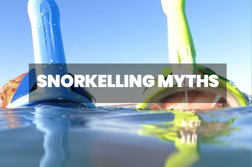 Snorkeling Myths Debunked: Setting the Record Straight