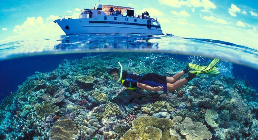 Where to go snorkelling in Great Barrier Reef