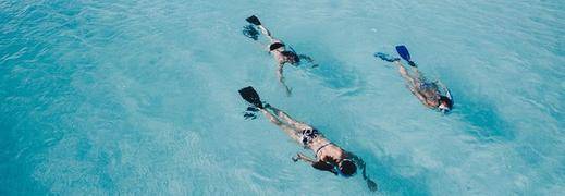 Wanna Go Snorkelling? 8 Tips for First-Time Snorkellers and Beginners