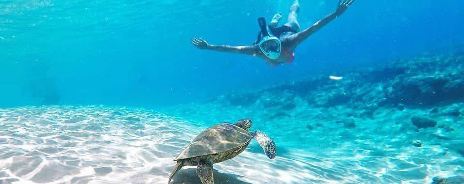 Where can I snorkel with Turtles?