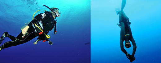 Freediving vs Scuba Diving